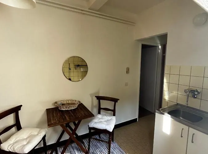 Charming In The Heart Of בית הארחה לוקרנו